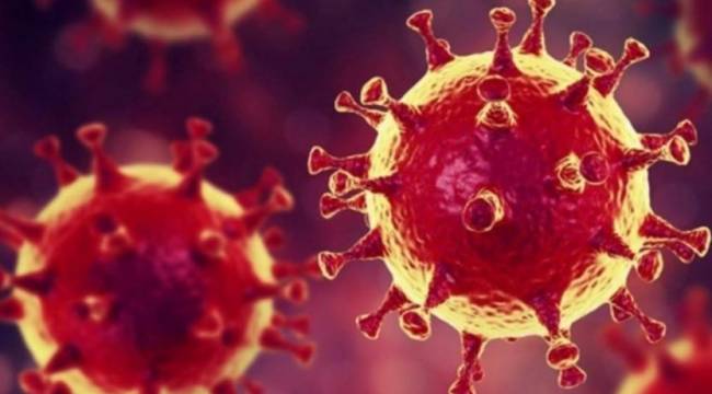 Salgında 32 kişi yaşamını yitirdi