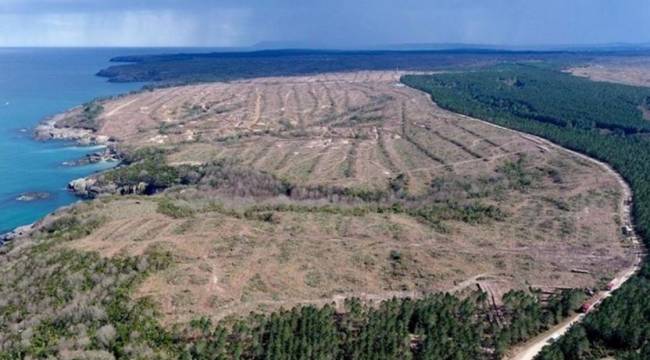 Sinop Nükleer Santrali davası bilirkişi raporuna rağmen reddedildi