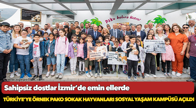Türkiye’ye örnek Pako Sokak Hayvanları Sosyal Yaşam Kampüsü açıldı
