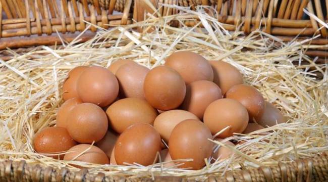 Yumurta zammı kapıya dayandı