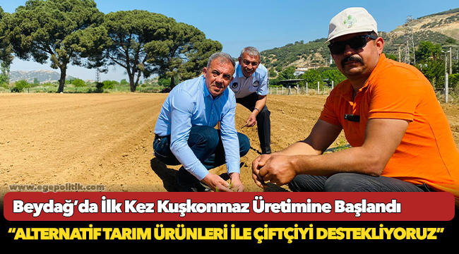 Beydağ’da İlk Kez Kuşkonmaz Üretimine Başlandı