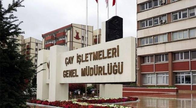 ÇAYKUR'un mevsimlik işçi alımı kurasında ismi çıkanlar işe alınmadı