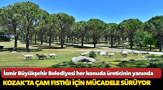 İzmir Büyükşehir Belediyesi her konuda üreticinin yanında