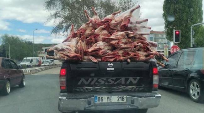 Kamyonet kasasında açık et taşınmasına inceleme