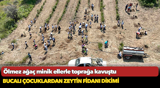 Ölmez ağaç minik ellerle toprağa kavuştu