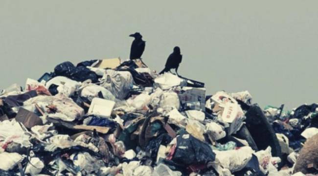 Türkiye 14,7 milyon ton atıkla AB'nin çöplüğü oldu