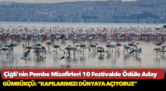 Çiğli’nin Pembe Misafirleri 10 Festivalde Ödüle Aday