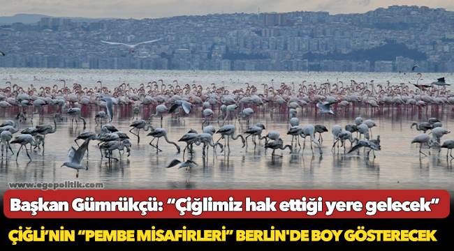 Çiğli’nin “Pembe Misafirleri” Berlin'de Boy Gösterecek