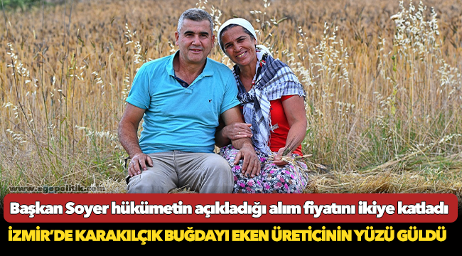 İzmir’de karakılçık buğdayı eken üreticinin yüzü güldü