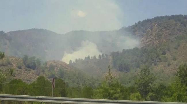 Köyceğiz'de de orman yangını çıktı