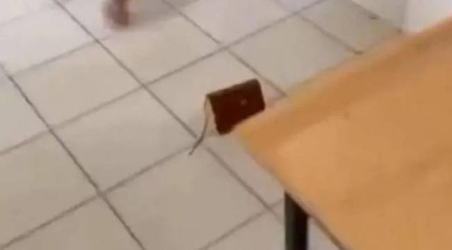 Kur'an-ı Kerim'e tekme attığı gerekçesiyle 3 öğrenci örgün öğretimden atıldı