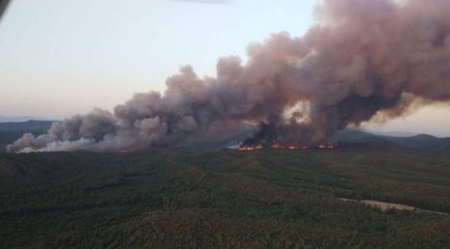 Marmaris'te çıkan orman yangınıyla ilgili soruşturma başlatıldı