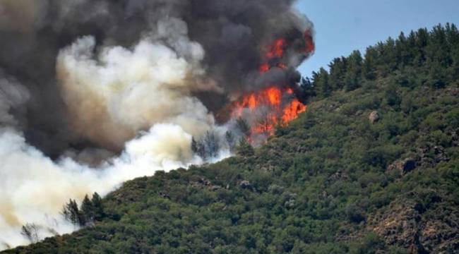 Marmaris'te yangın devam ediyor: Gece görüşlü helikopterler 4 Temmuz'da gelecek