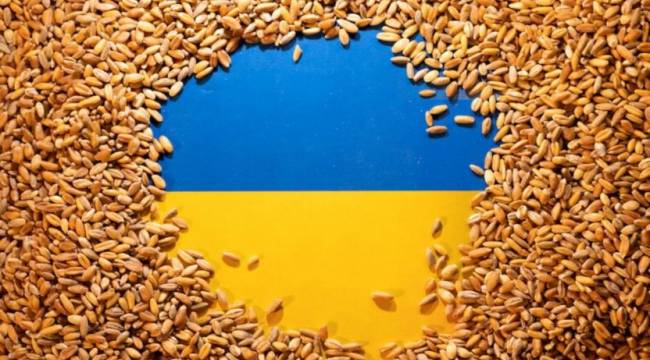 Rus basını: Türkiye ve Rusya, Ukrayna tahılı için anlaştı