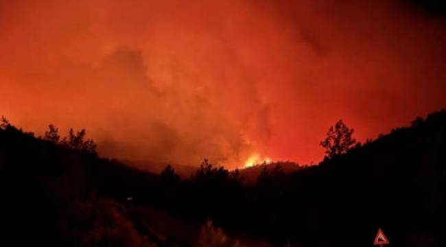 Tarım ve Orman Bakanı: Rüzgar ve sıcaklıktaki artış yangını yeniden alevlendirdi