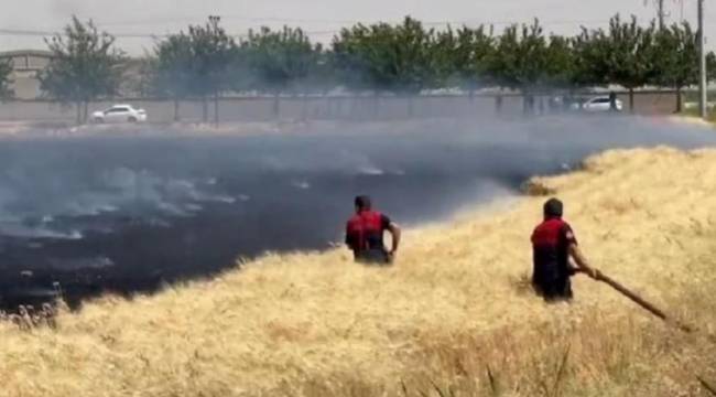 Yüksek gerilim hattı buğday tarlasını kül etti