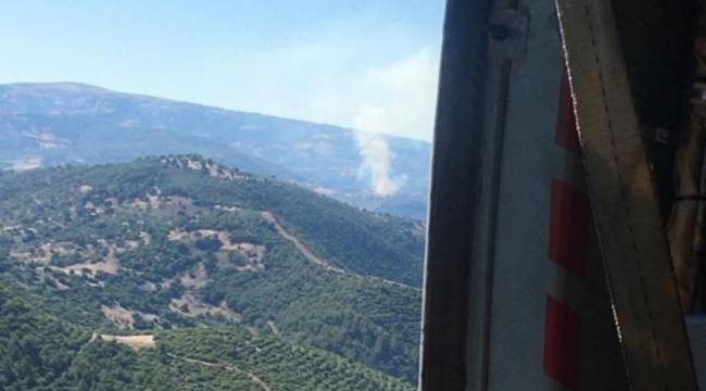 Akhisar'da orman yangını