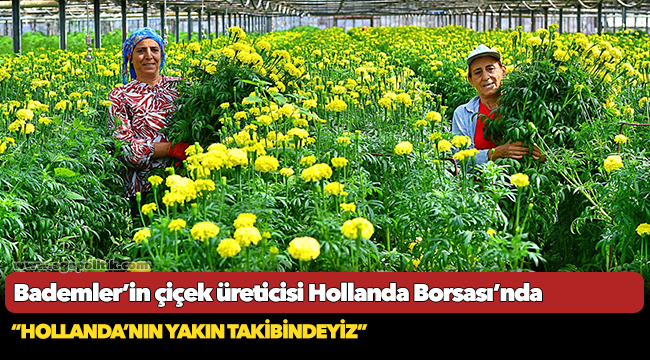 Bademler’in çiçek üreticisi Hollanda Borsası’nda