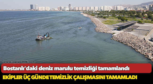 Bostanlı’daki deniz marulu temizliği tamamlandı