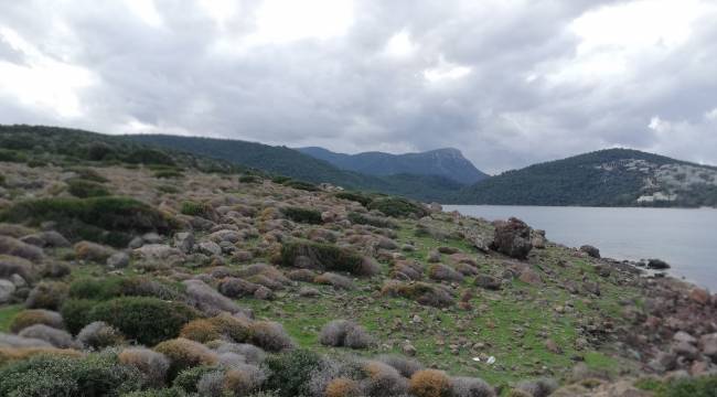 Cengiz İnşaat'tan Cennet Koyu yanıtı!
