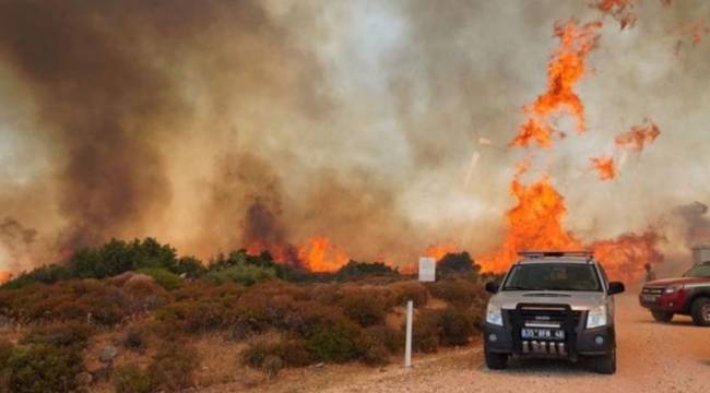 Çeşme yangınına ilişkin gözaltına alınan 2 kişi serbest