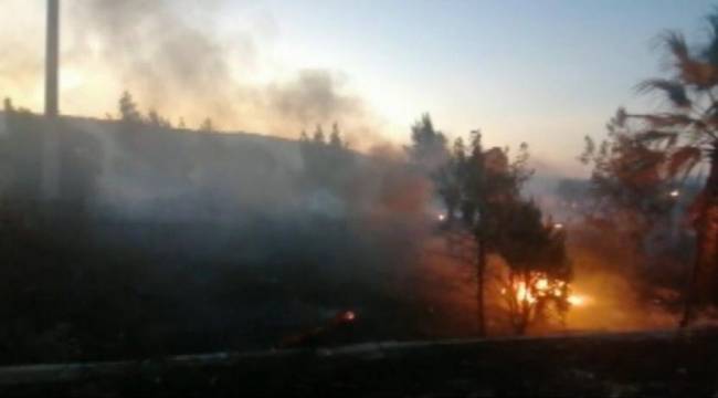 İzmir&#039;deki yangına ilişkin gözaltına alınan şahıs: Keyfime yaktım