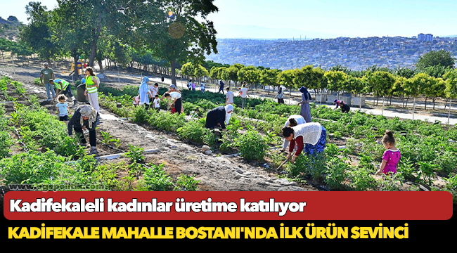 Kadifekale Mahalle Bostanı'nda ilk ürün sevinci