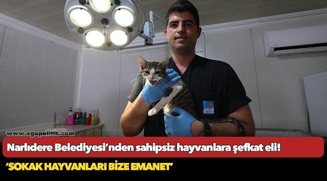 Narlıdere Belediyesi’nden sahipsiz hayvanlara şefkat eli!