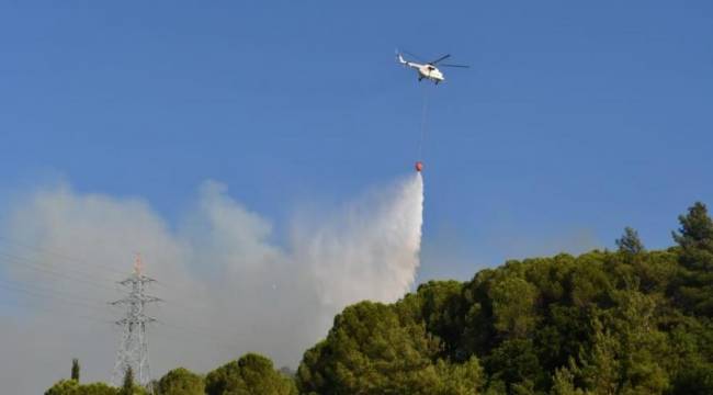 Söke’de orman yangını