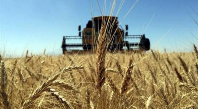 Bankalara rehin bırakılan tarım arazisi sayısı 1 milyon 366 bin 172'ye ulaştı