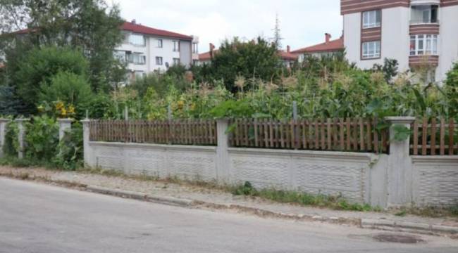 Bolu'da bir erkek bahçesinden mısır alan 3 kız çocuğunu darp etti