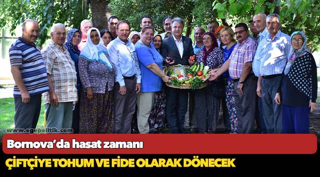 Bornova’da hasat zamanı