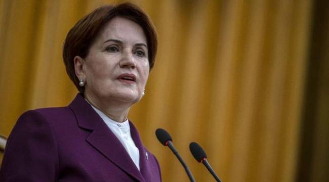 Danışmanı açıkladı: Meral Akşener&#039;i ısıran köpek öldü