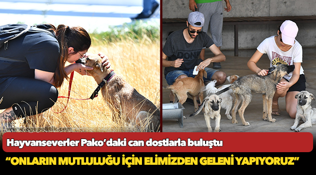 Hayvanseverler Pako’daki can dostlarla buluştu