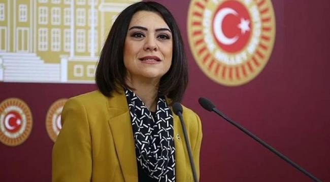CHP'li Taşçıer'den Sayıştay raporu tepkisi: Devlet soyuluyor, AKP seyrediyor
