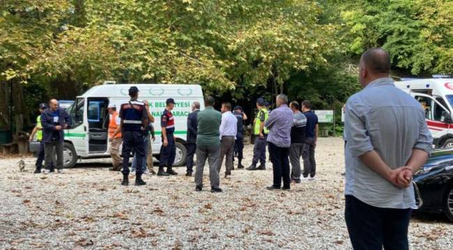 Erfelek Şelaleleri'nde ağaç devrildi: 2 ölü, 1 yaralı