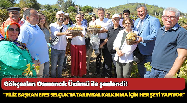 Gökçealan Osmancık Üzümü ile şenlendi!