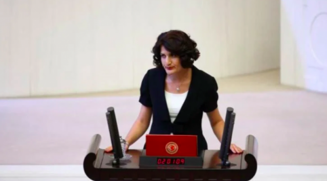 HDP'li Semra Güzel ile birlikte yakalanan 2 kişi de tutuklandı