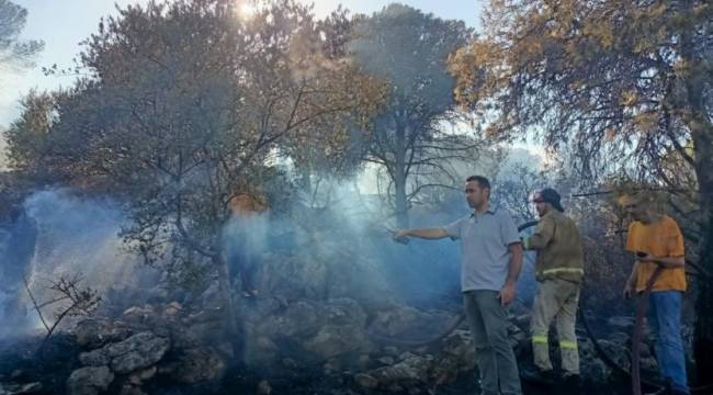 İzmir'de çıkan yangın kontrol altına alındı