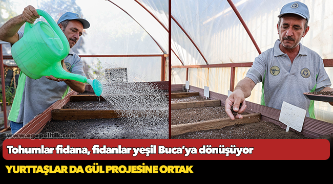 Tohumlar fidana, fidanlar yeşil Buca’ya dönüşüyor