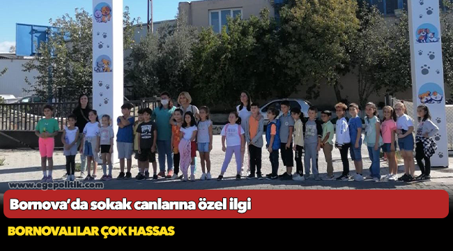 Bornova’da sokak canlarına özel ilgi