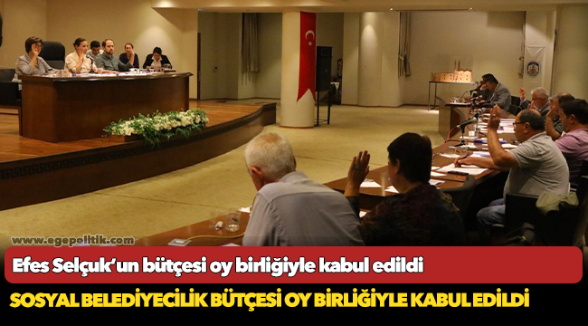 Efes Selçuk’un bütçesi oy birliğiyle kabul edildi