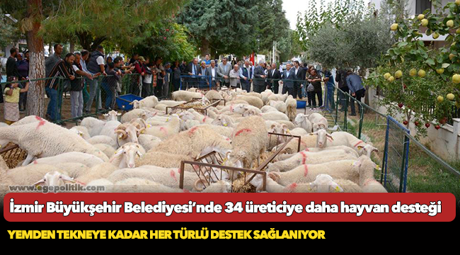 İzmir Büyükşehir Belediyesi’nde 34 üreticiye daha hayvan desteği