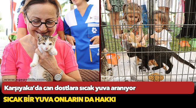Karşıyaka’da can dostlara sıcak yuva aranıyor
