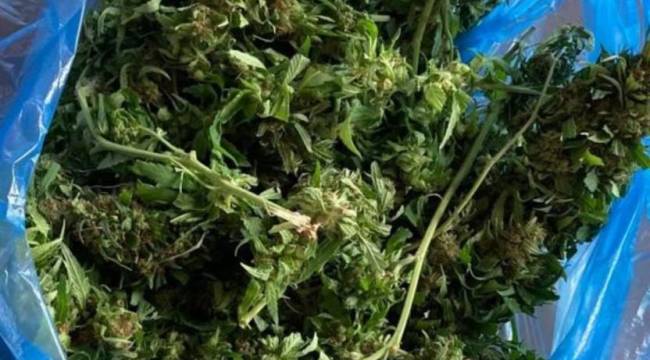 ‘Kökünü Kurutma Operasyonu’nda 132 tutuklama