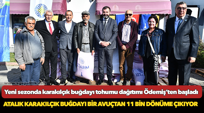 Yeni sezonda karakılçık buğdayı tohumu dağıtımı Ödemiş’ten başladı