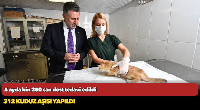 5 ayda bin 250 can dost tedavi edildi