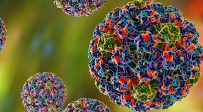 Bakan Koca: HPV tanı kitleri için TÜSEB'i görevlendirdik