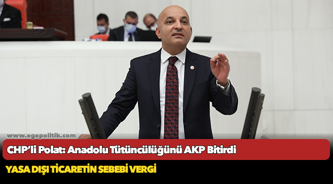 CHP’li Polat: Anadolu Tütüncülüğünü AKP Bitirdi