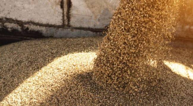 Ukrayna Altyapı Bakanı duyurdu: Tahıl anlaşması 120 gün uzatılacak